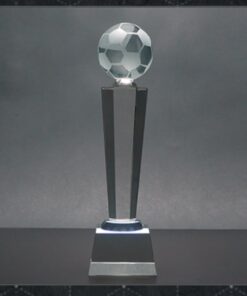 מגן הוקרה קריסטל כדורגל