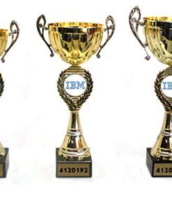 סט גביע הוקרה -412019