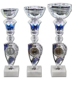 סט גביע הוקרה - 442239