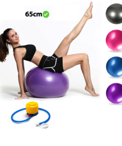 כדור פילאטיס /פיטבול 55