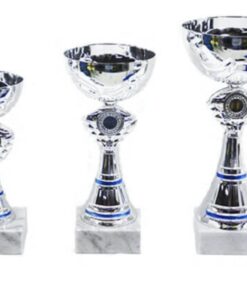 סט גביע הוקרה – 442216
