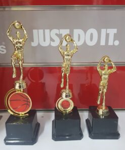 גביע/פסלון  כדורסל