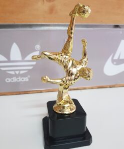 פסלון/גביע כדורגל בעיטת מספרת