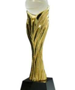 מגן רזין זהב כדורסל