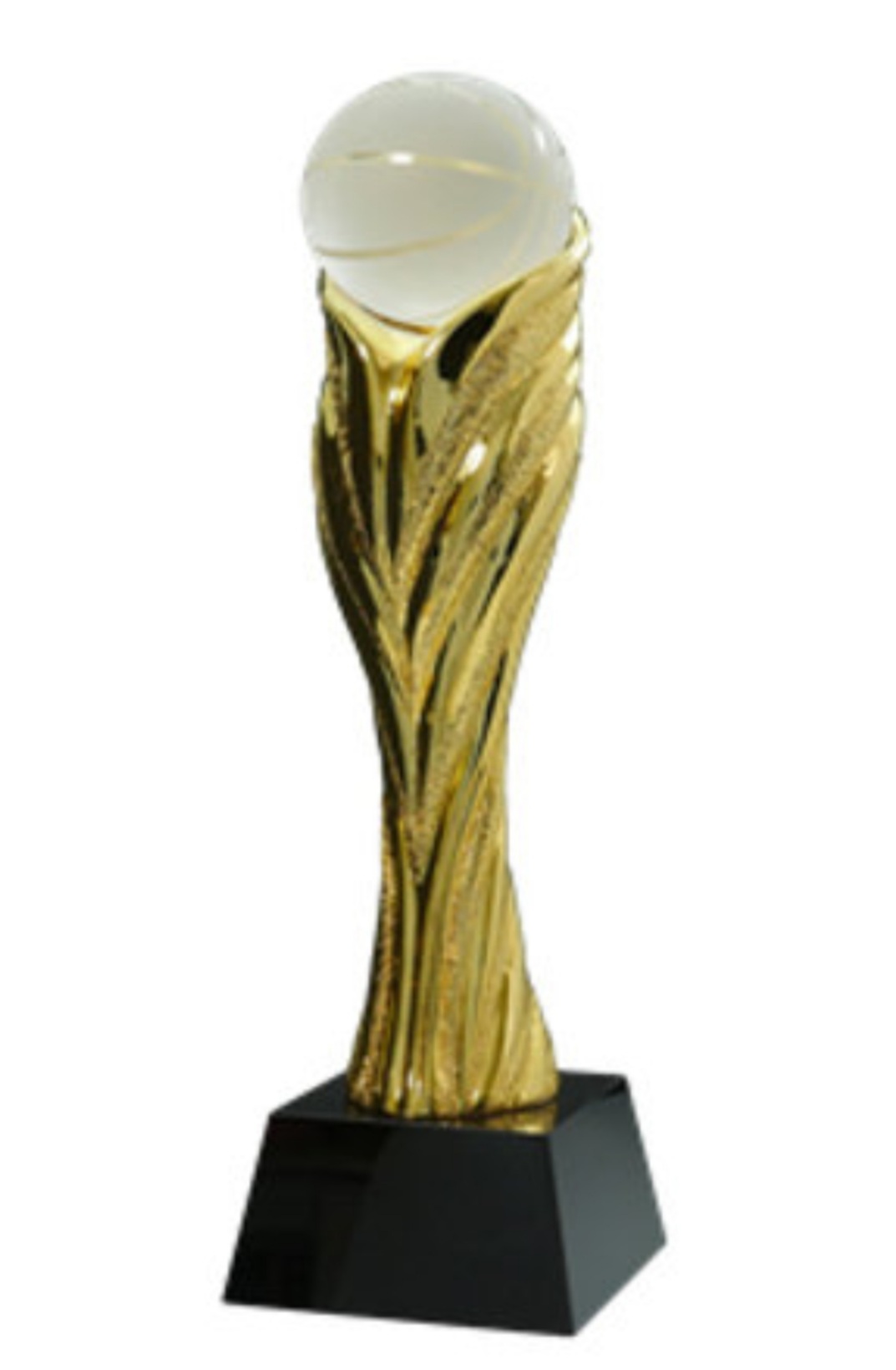 מגן רזין זהב כדורסל