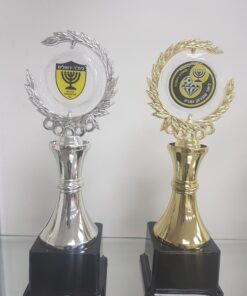 גביע כללי / מגן הוקרה  כסף /זהב