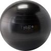 כדור פיזיו שחור 65 ס'מ