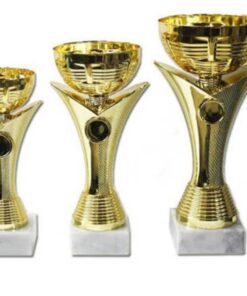 סט גביע הוקרה – 442209