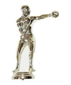 גביע פסלון הוקרה אגרוף