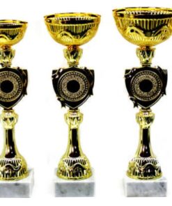 סט גביע הוקרה - 442219