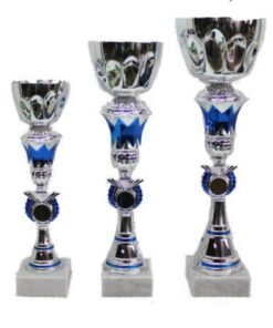 סט גביע הוקרה - 442238