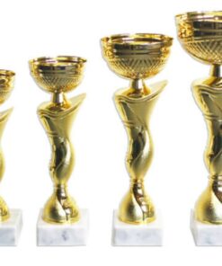 סט גביע הוקרה  – 442252