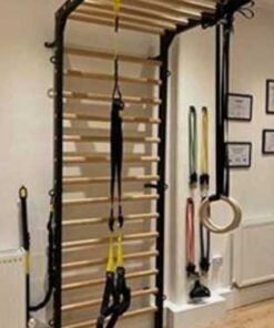 סולם מקצועי - ברזל