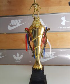 גביע פסלון כדורגל