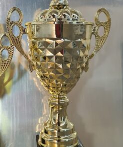 גביע הוקרה גדול +לוגו