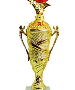 גביע כדורסל כדור כתום