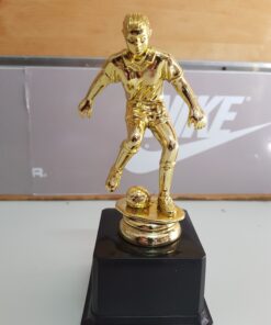 גביע/פסלון כדורגל