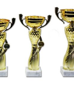 סט גביע הוקרה - 442226