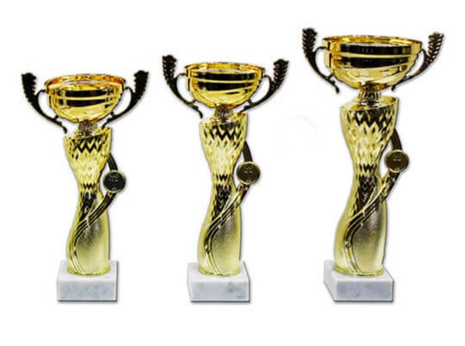 סט גביע הוקרה - 442226