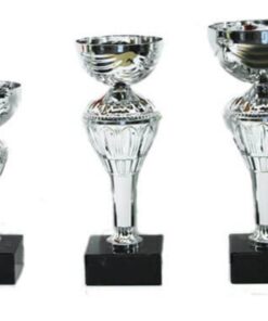 סט גביע הוקרה - 442212