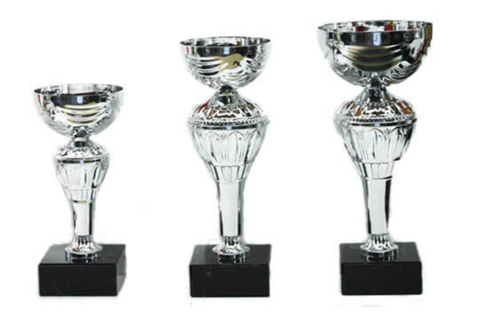 סט גביע הוקרה - 442212