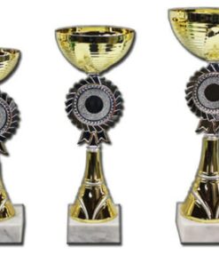 סט גביע הוקרה - 442242