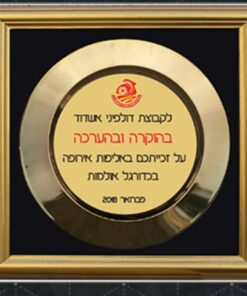 צלחת אליפות הוקרה זהב ממוסגרת ב 3 גדלים