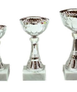 גביעי ירושלים – 442231