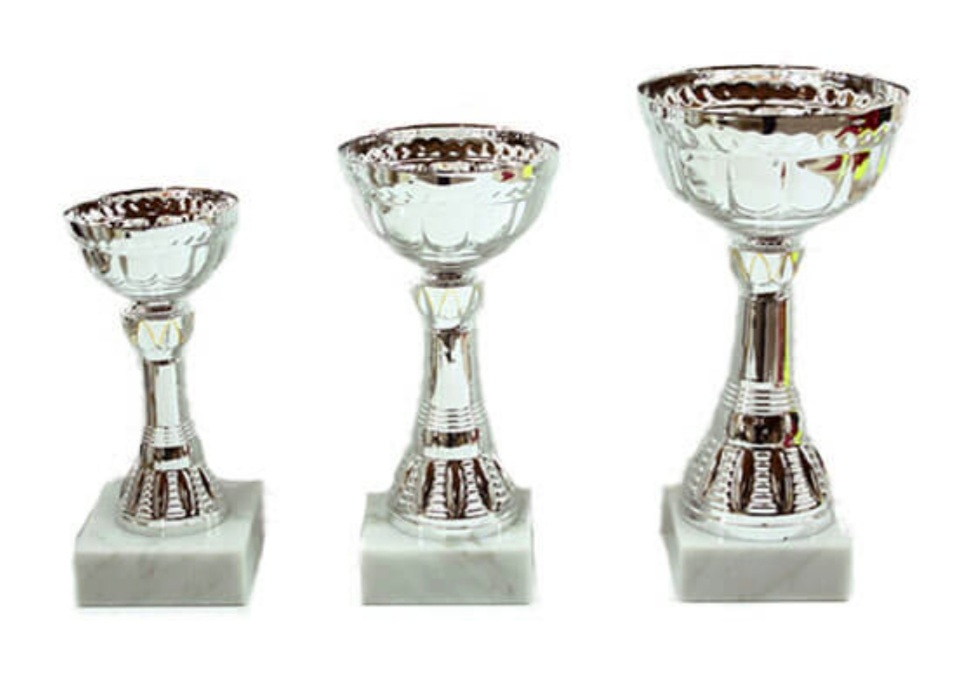 גביעי ירושלים – 442231