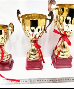 סט 3 יח גביע הוקרה ידיות