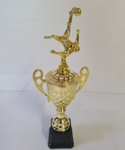 גביע הוקרה כדורגל