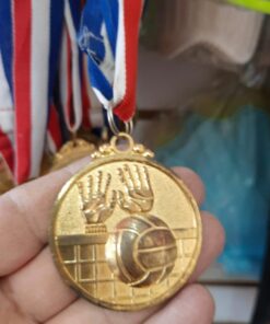 מדליה זהב כדורעף/כדורשת מוטבעת