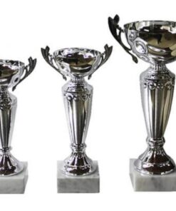 סט גביע הוקרה - 442225