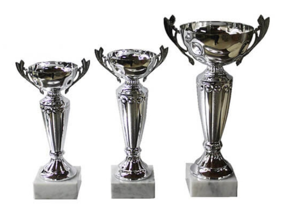 סט גביע הוקרה - 442225