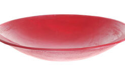 צלחת וסטיבולרית פלסטיק קשיח איכותי