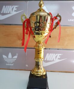 גביע הוקרה לכל מטרה