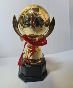 גביע כדורגל כדור מלא