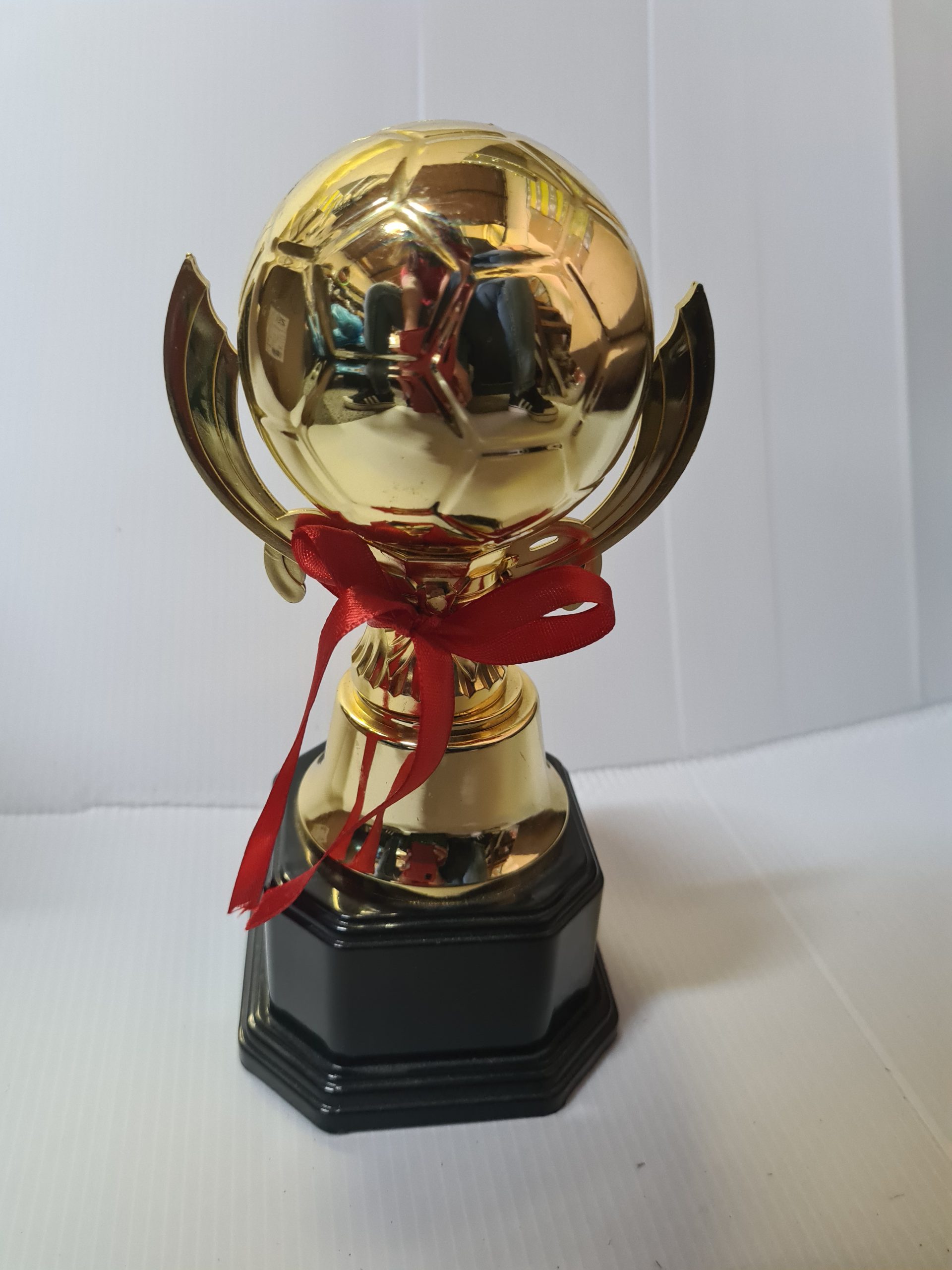 גביע כדורגל כדור מלא גביע כדורגל כדור מלא