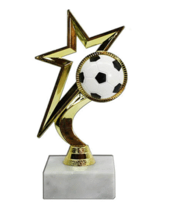 גביע כדורגל כוכב