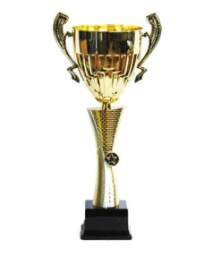 גביע כדורגל 44 ס'מ