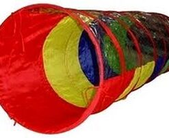 מנהרה צבעונית