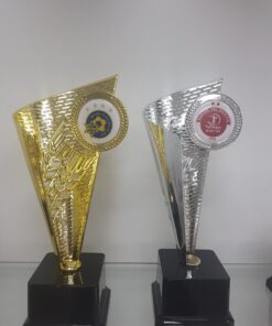 גביע כללי / מגן הוקרה כסף/זהב