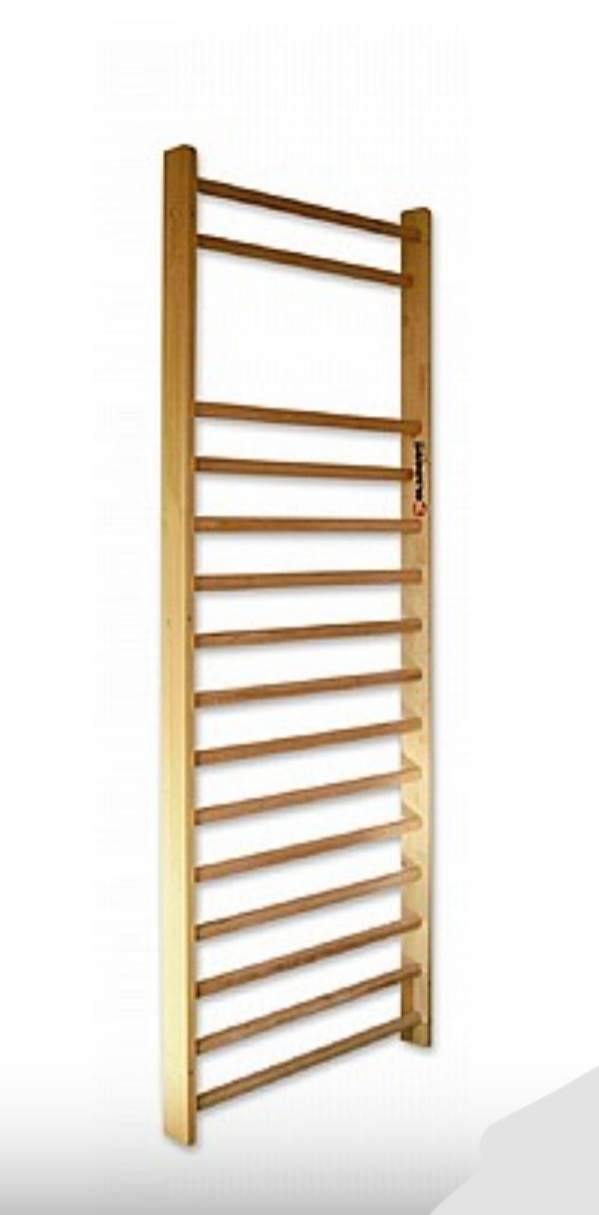 סולם שוודי יחיד כולל ראש 85X260 ס'מ