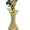 גביע כדורגל -  נעל וכדורגל מלא