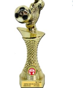 גביע כדורגל -  נעל וכדורגל מלא
