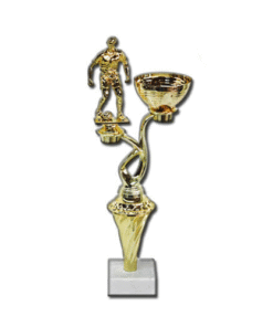 גביע ענפים שונים 38.5 ס”מ