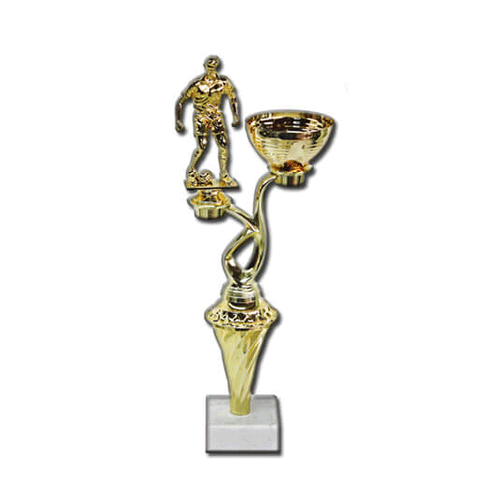 גביע ענפים שונים 38.5 ס”מ