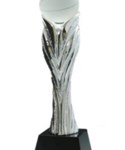 מגן רזין כסף כדורסל