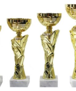 סט גביע הוקרה - 442220