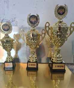 סט 3 יח גביע הוקרה ולוגו